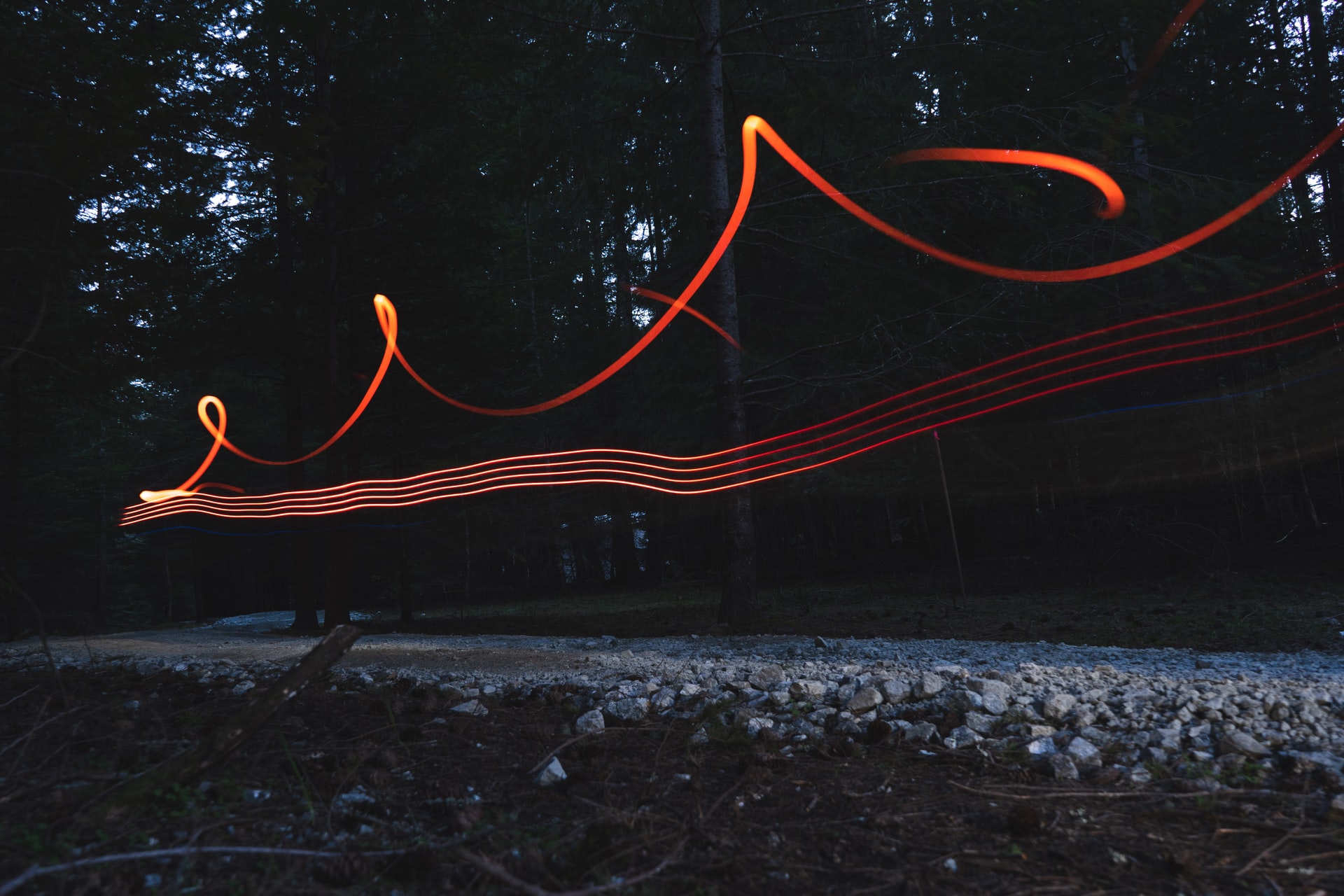 Lights effect in a forest background
